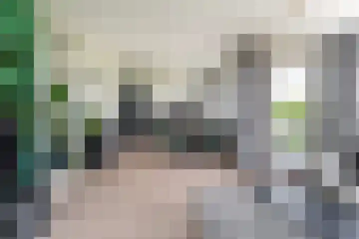 Avenue Carnisse 306 Barendrecht thumbnail 10