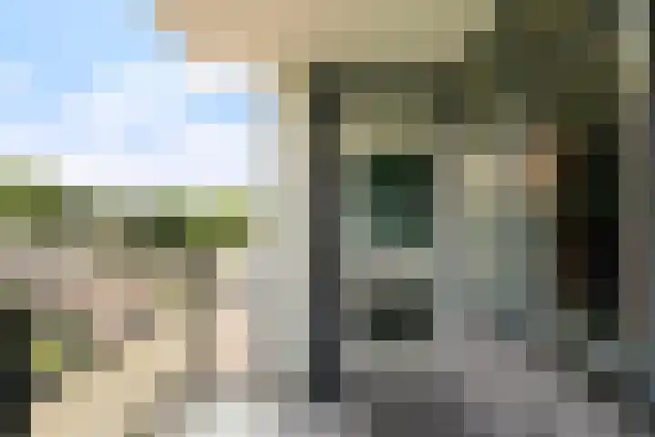Avenue Carnisse 306 Barendrecht thumbnail 21