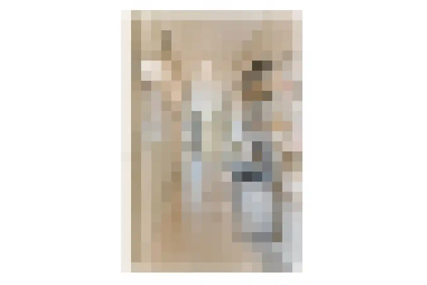 Avenue Carnisse 315 Barendrecht thumbnail 9