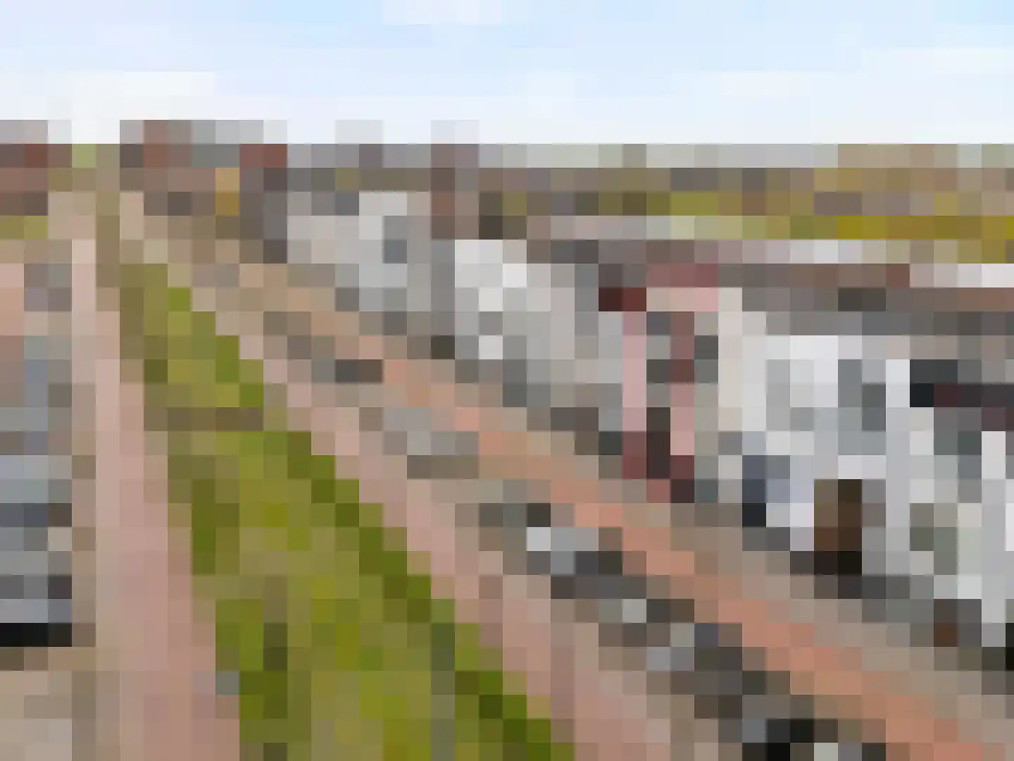 Avenue Carnisse 72 Barendrecht thumbnail 50