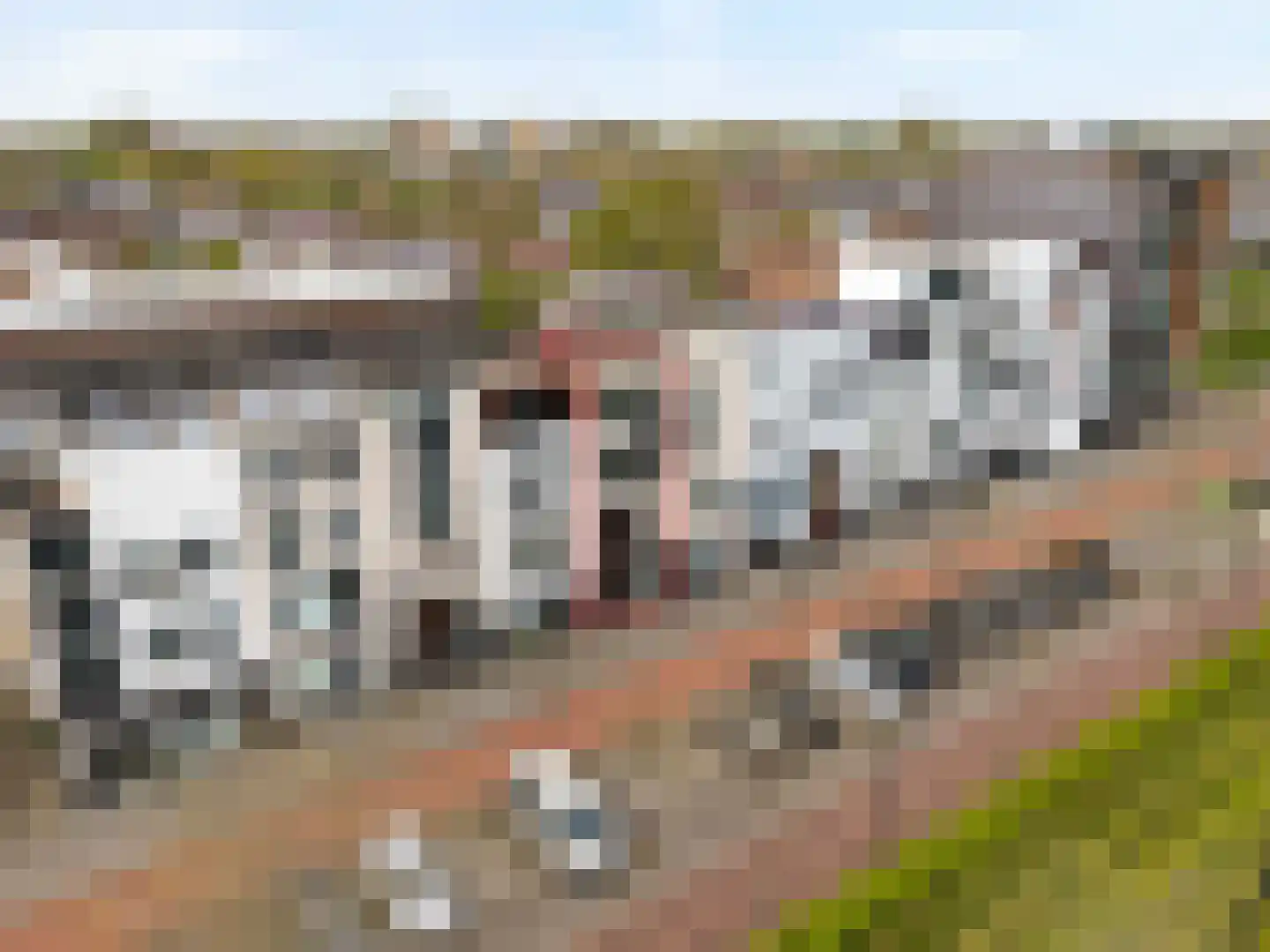Avenue Carnisse 72 Barendrecht thumbnail 51