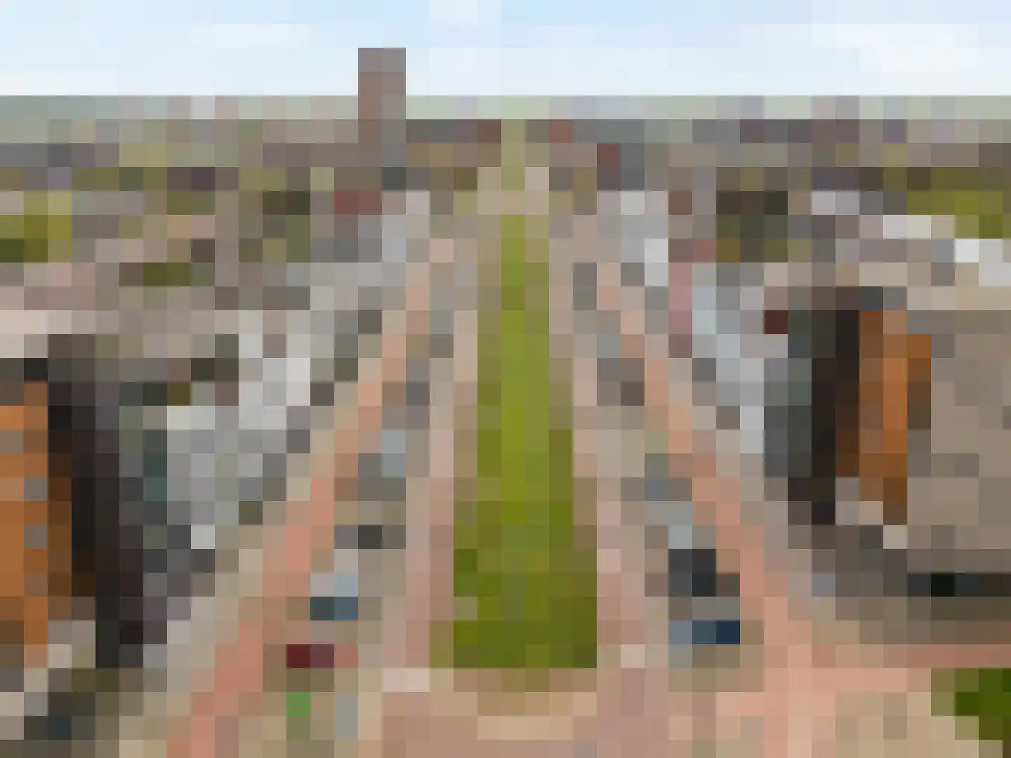Avenue Carnisse 72 Barendrecht thumbnail 53