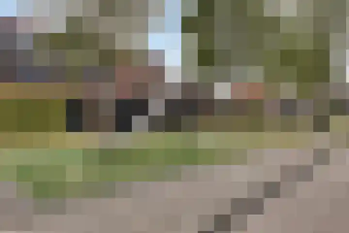 Avenue Carnisse 79 Barendrecht thumbnail 19