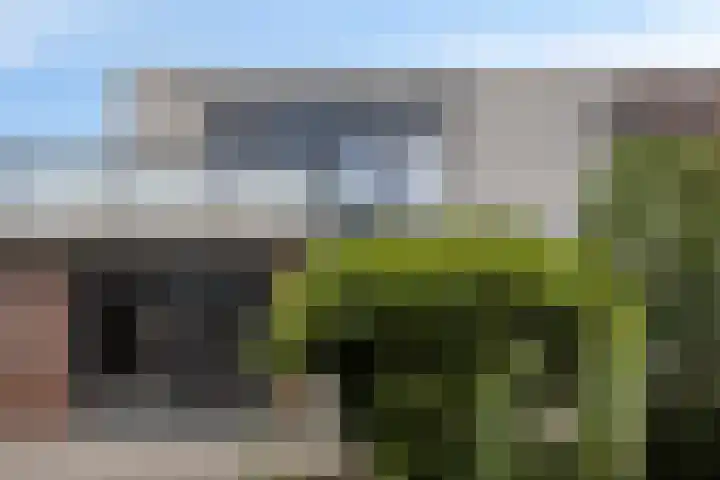 Avenue Carnisse 79 Barendrecht thumbnail 8