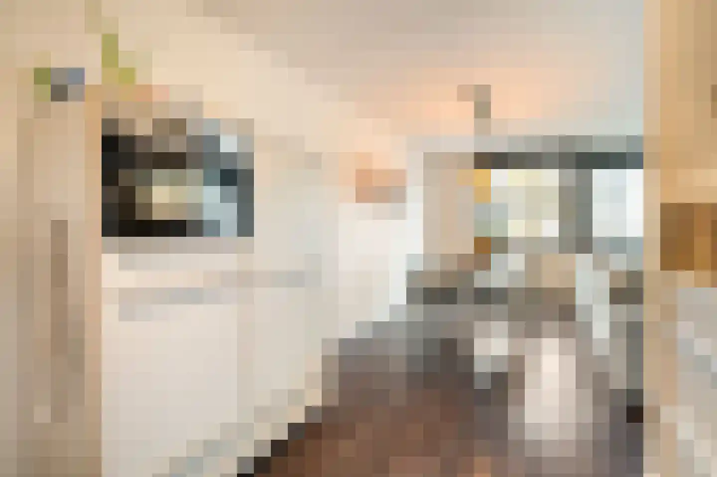 Avenue Carnisse 86 Barendrecht thumbnail 21