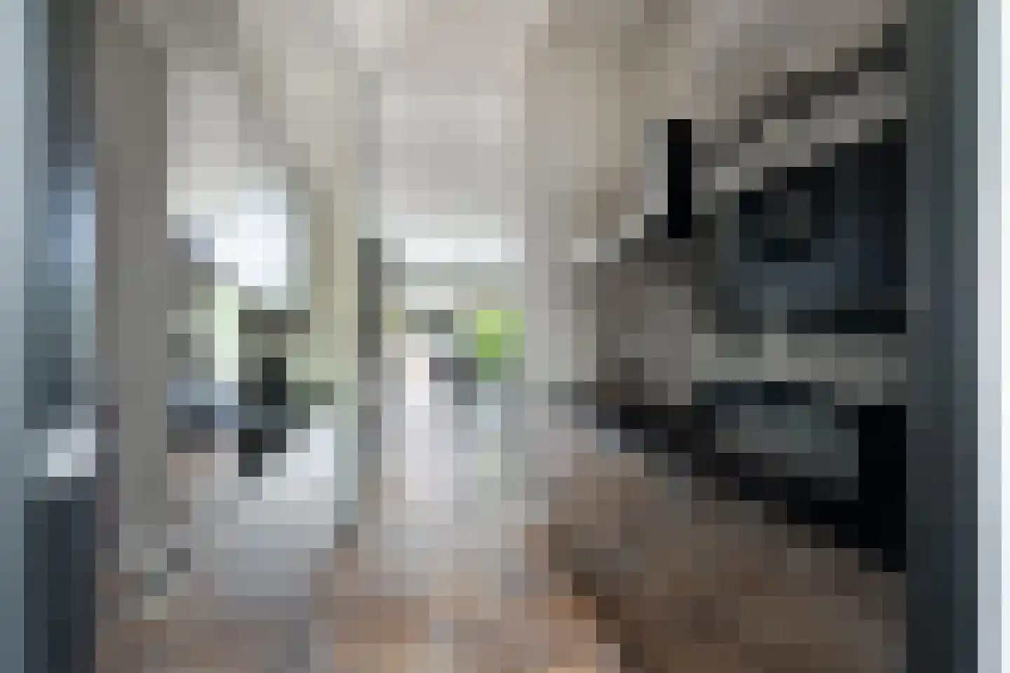 Avenue Carnisse 89 Barendrecht thumbnail 6