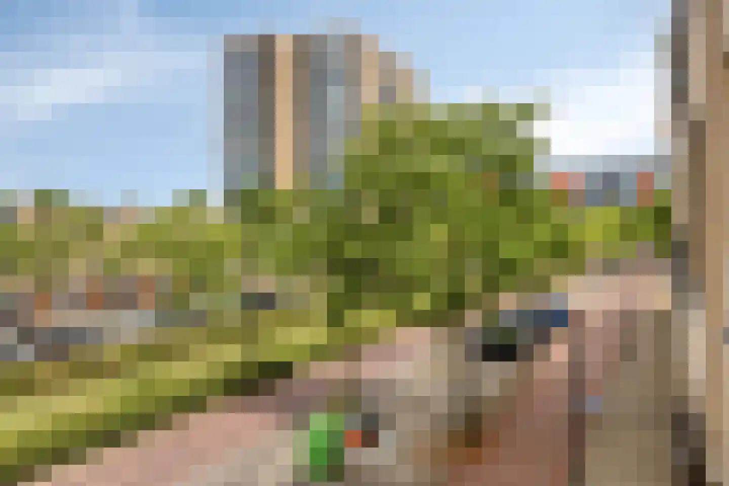 Avenue Carré 198 Barendrecht thumbnail 17