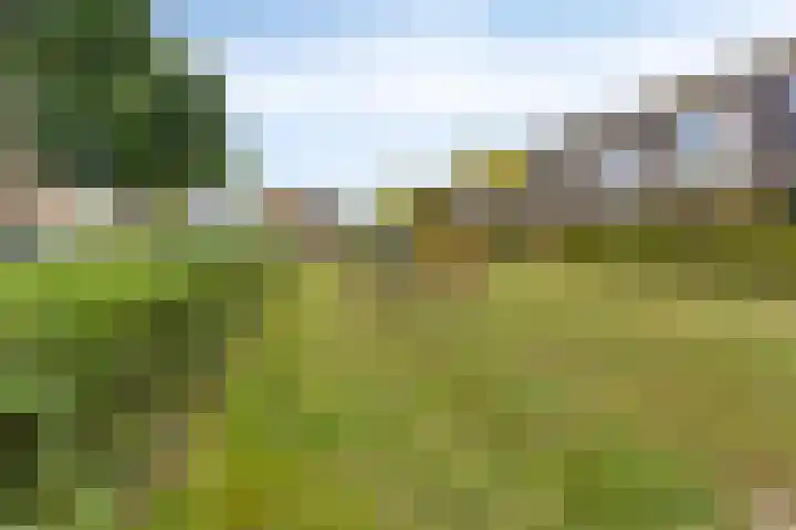 Avenue Carré 213 Barendrecht thumbnail 32