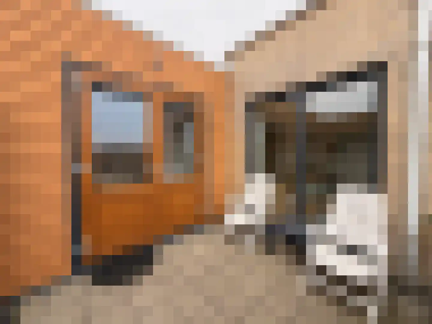 Avenue Carré 217 Barendrecht thumbnail 12