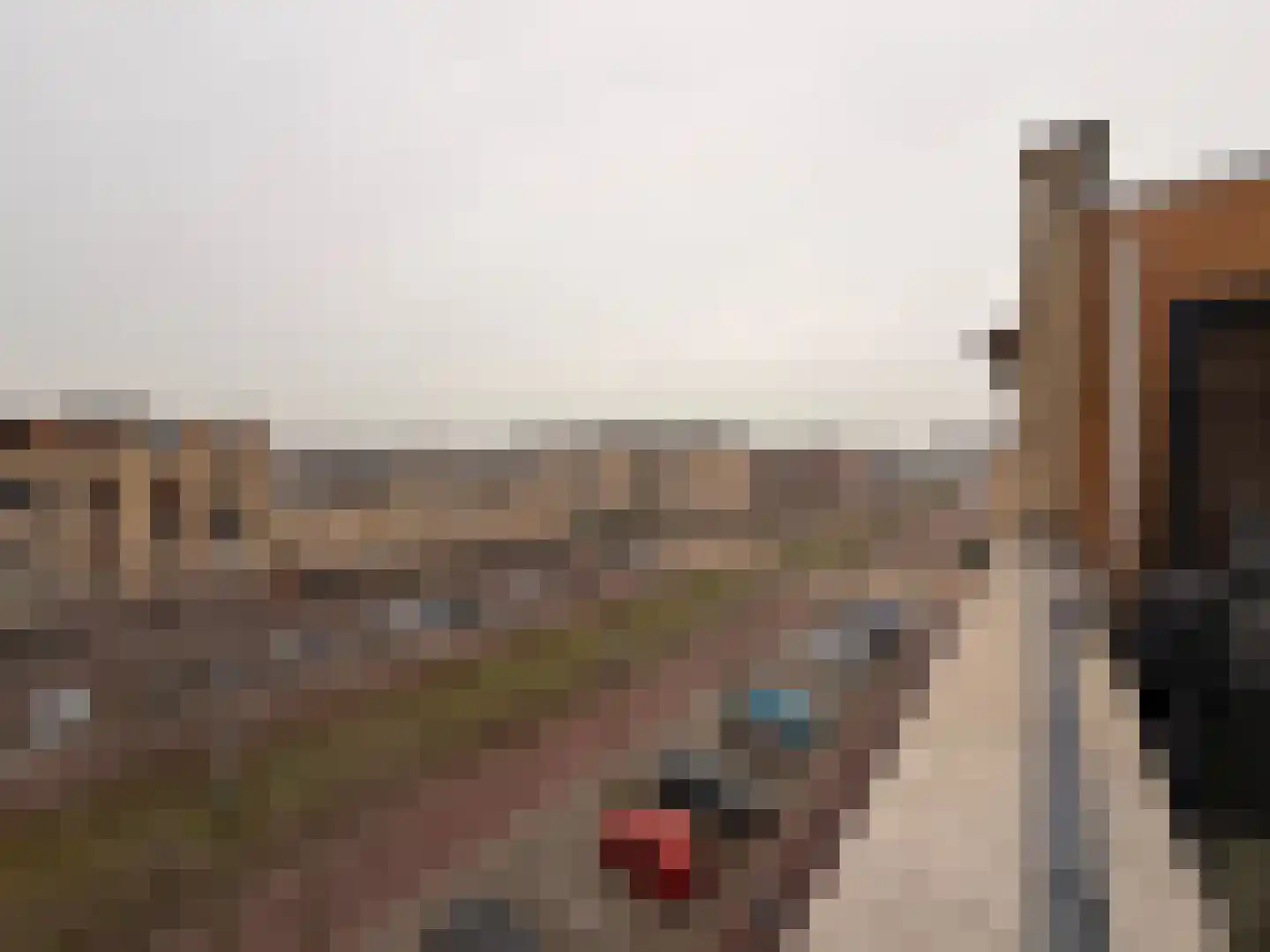 Avenue Carré 217 Barendrecht thumbnail 14