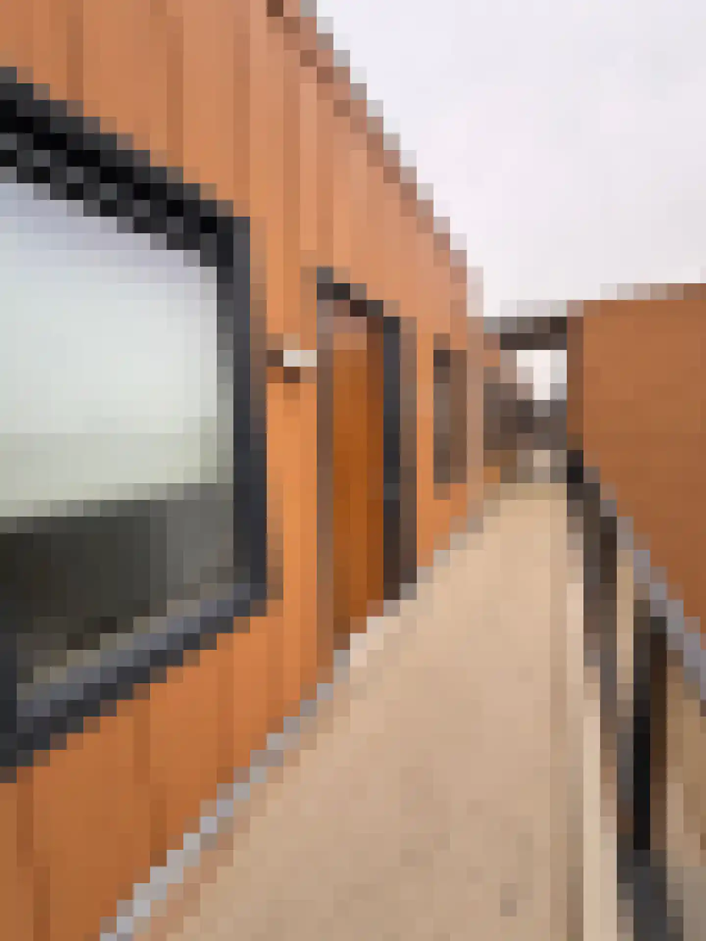Avenue Carré 217 Barendrecht thumbnail 34