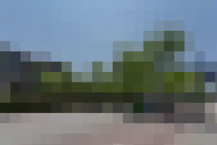 Avenue Carré 33 Barendrecht thumbnail 33