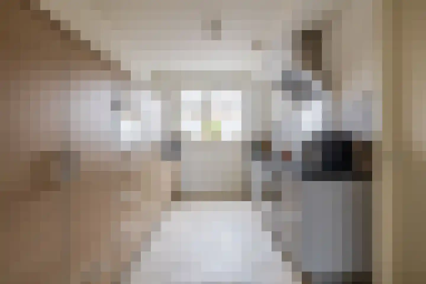 Avenue Carré 62 Barendrecht thumbnail 15