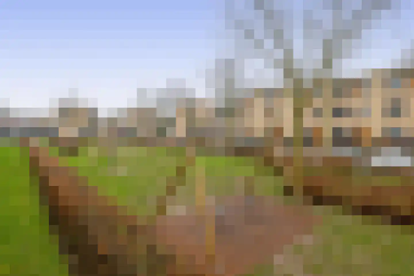 Avenue Carré 62 Barendrecht thumbnail 43