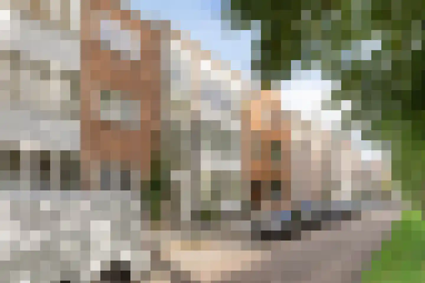 Avenue Concordia 47 C Rotterdam thumbnail 26