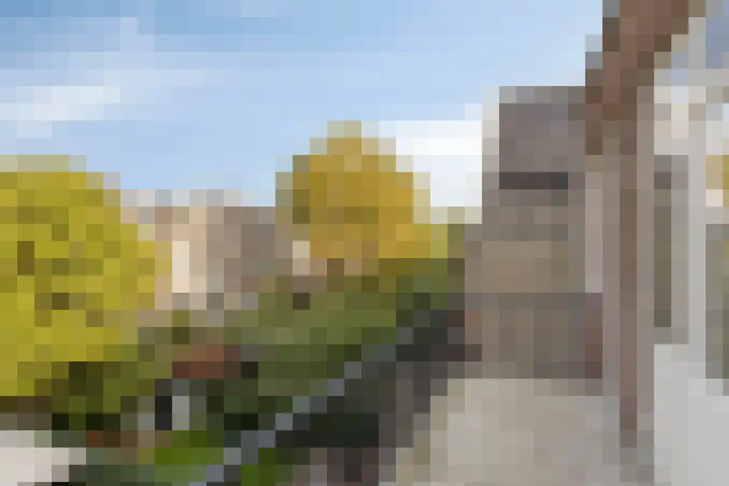 Avenue Concordia 47 C Rotterdam thumbnail 4