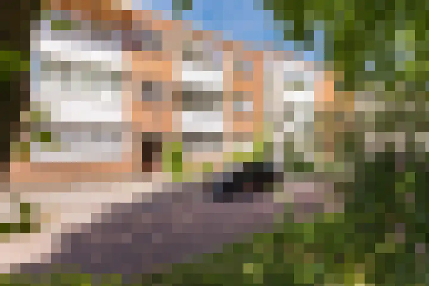 Avenue Concordia 49 C Rotterdam thumbnail 36