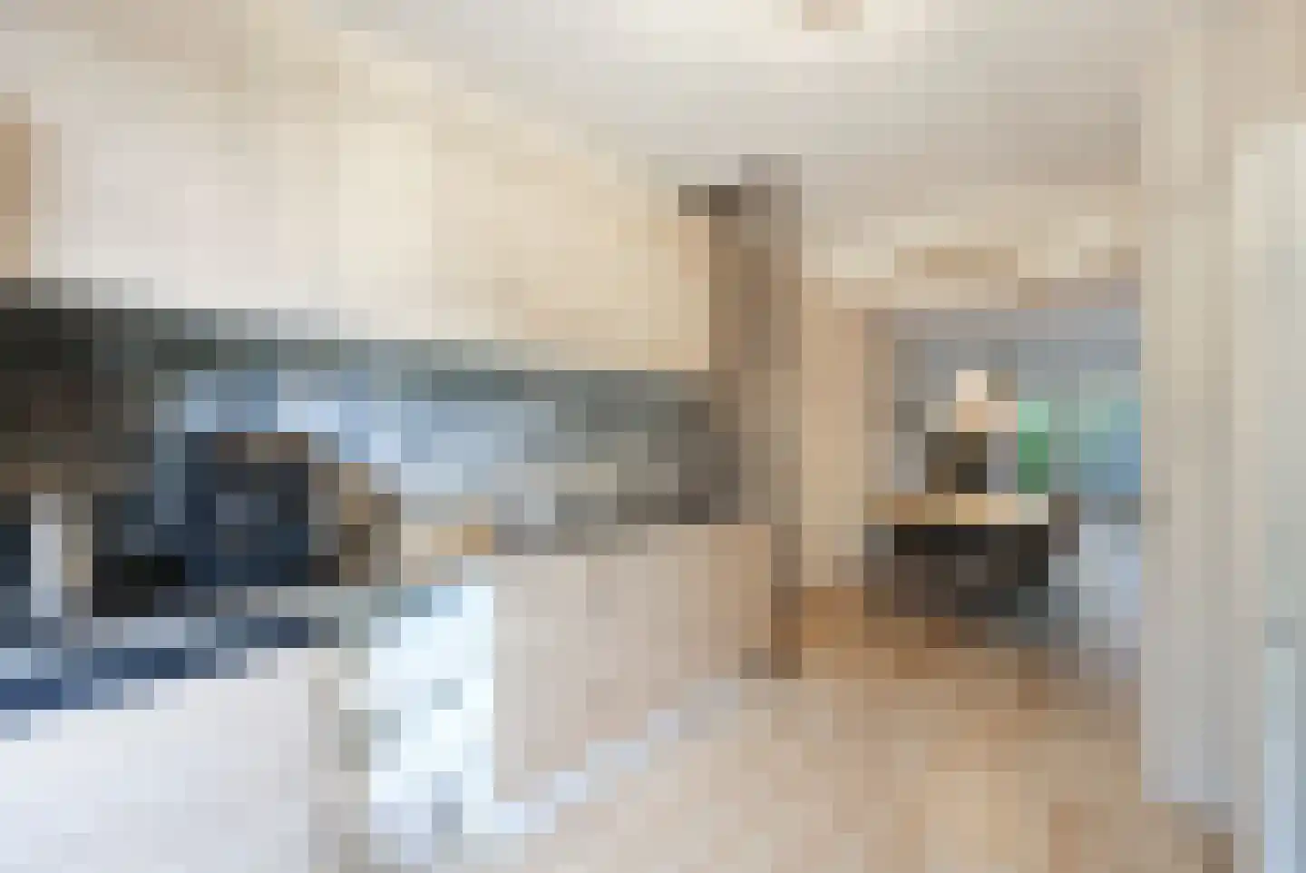 Avenweide 14 Heemskerk thumbnail 10