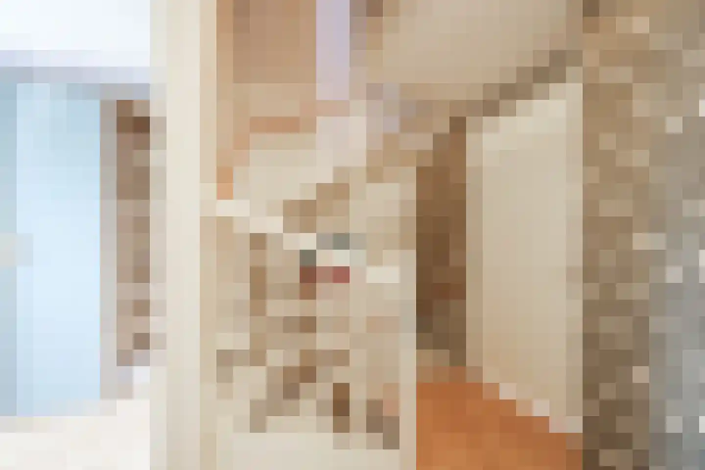 Avenweide 14 Heemskerk thumbnail 21