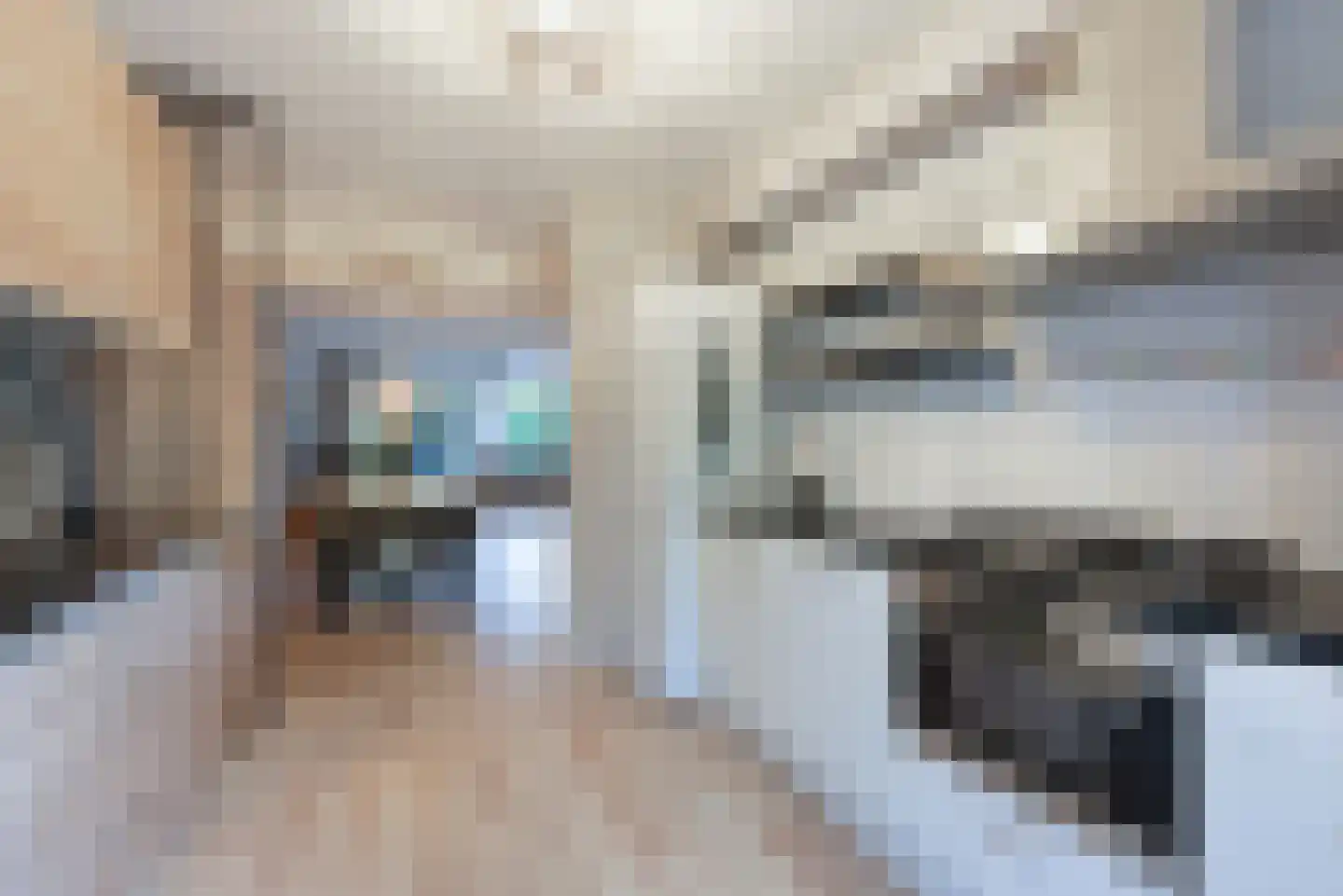Avenweide 14 Heemskerk thumbnail 9