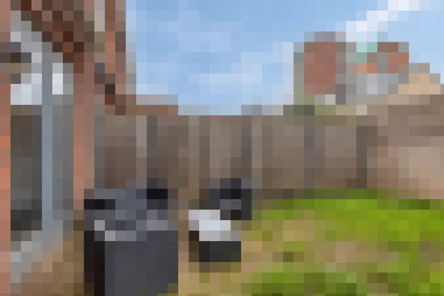 Avenweide 40 Heemskerk thumbnail 33