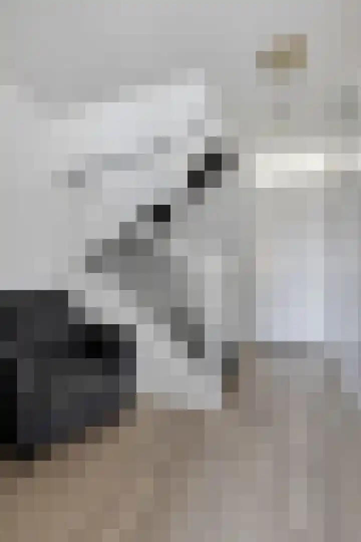 Avenweide 72 Heemskerk thumbnail 19