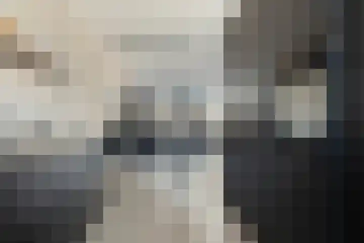 Averbergen 38 Olst thumbnail 10