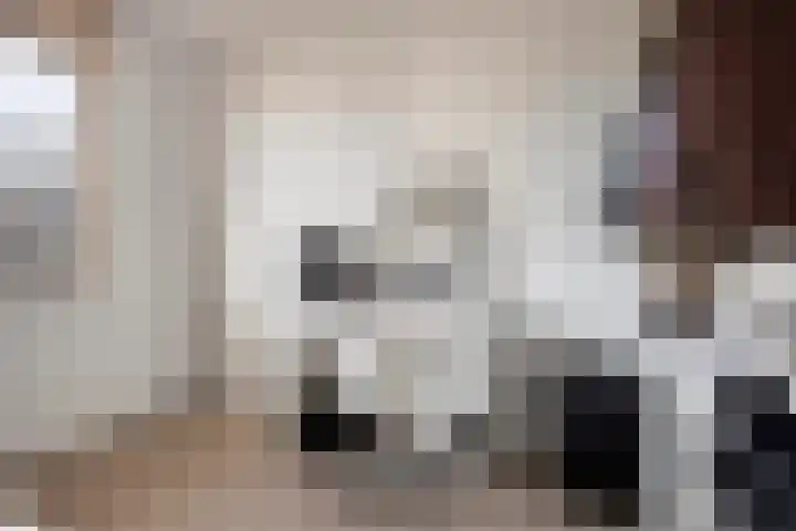 Averbergen 38 Olst thumbnail 16