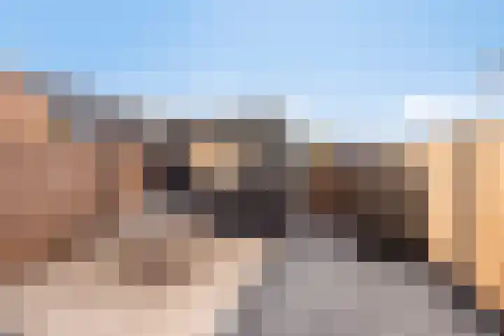 Averbergen 38 Olst thumbnail 22