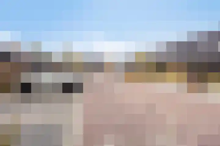 Averbergen 38 Olst thumbnail 25
