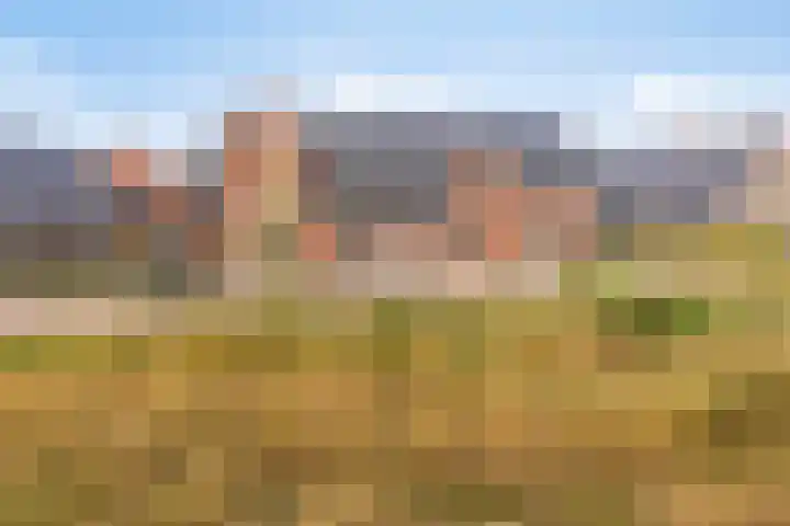 Averbergen 38 Olst thumbnail 27
