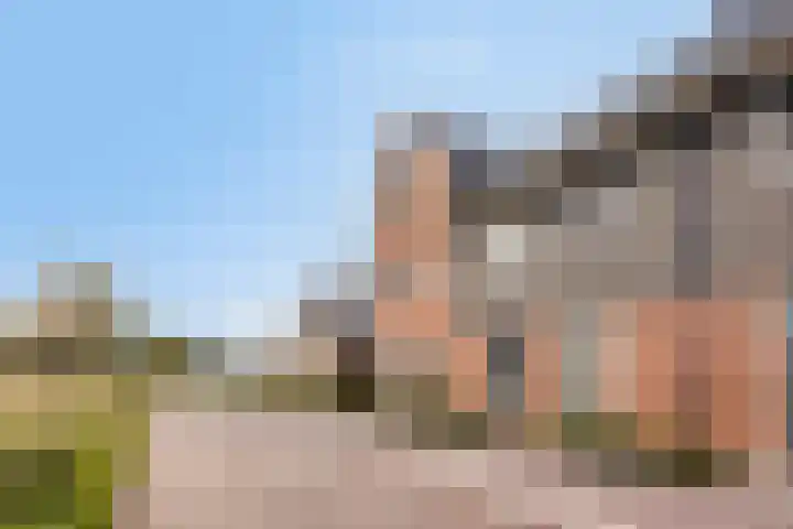 Averbergen 38 Olst thumbnail 30