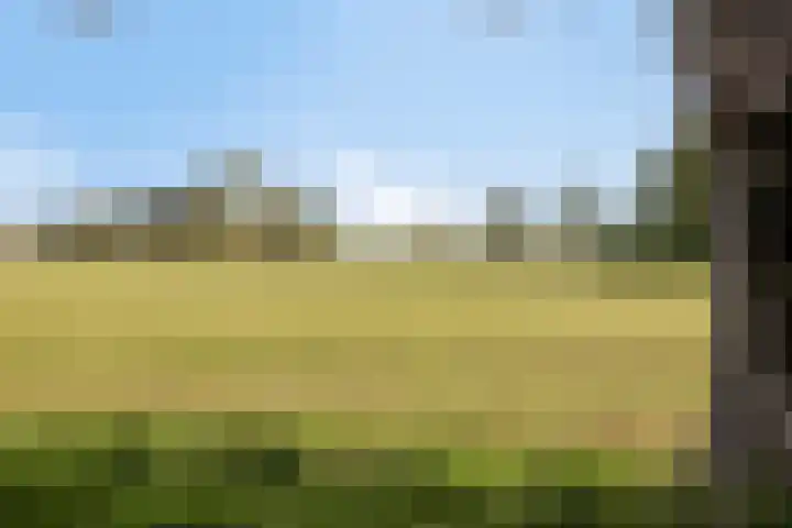 Averbergen 38 Olst thumbnail 31