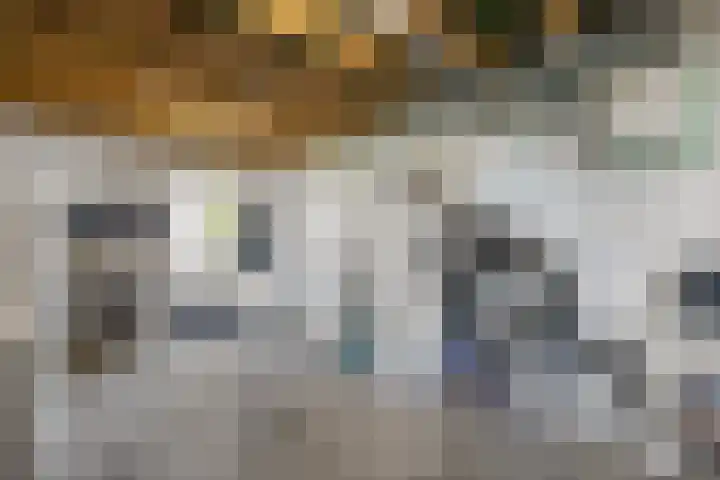 Averbergen 6 Raalte thumbnail 30