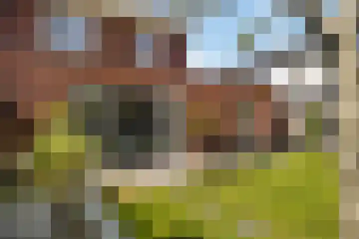 Averbergen 6 Raalte thumbnail 35