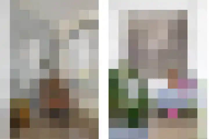 Averbergen 6 Raalte thumbnail 8