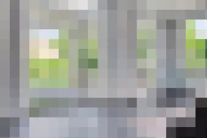 Averbodelaan 37 Hooge Mierde thumbnail 13