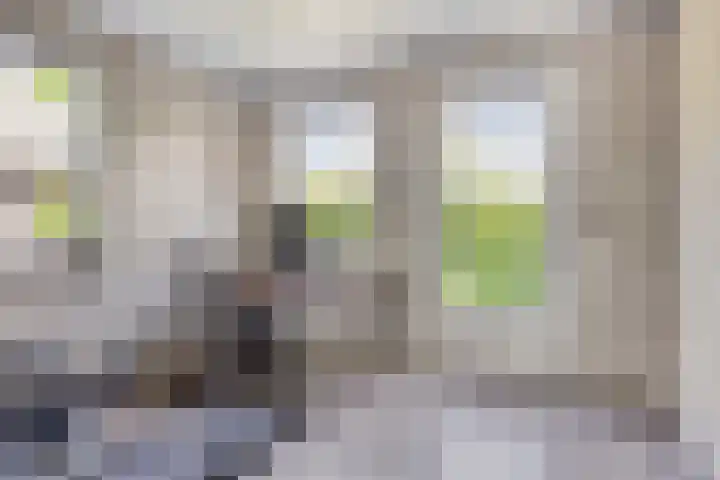 Averbodelaan 37 Hooge Mierde thumbnail 27