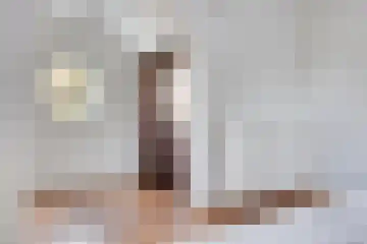 Averbodelaan 37 Hooge Mierde thumbnail 32