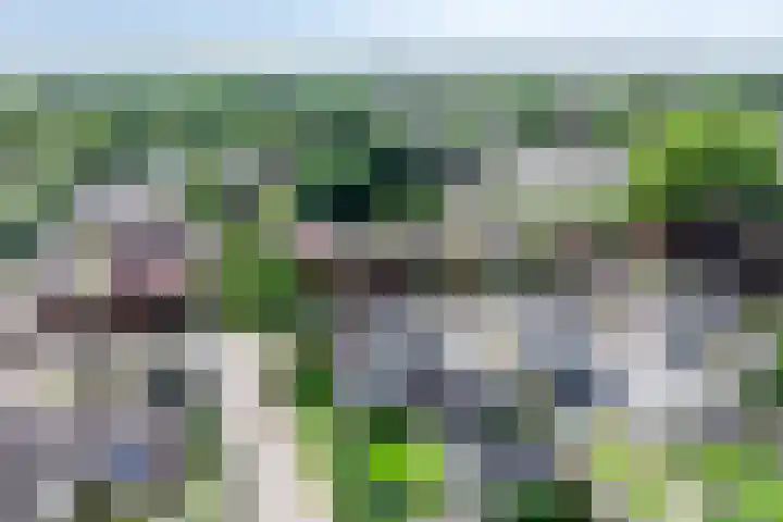Averbodelaan 37 Hooge Mierde thumbnail 4