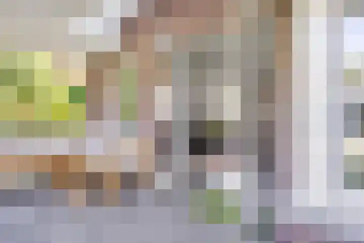 Averbodelaan 37 Hooge Mierde thumbnail 45