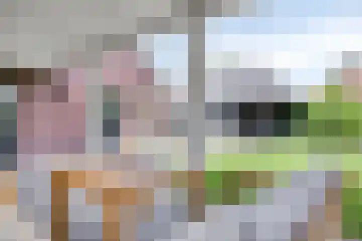 Averbodelaan 37 Hooge Mierde thumbnail 47