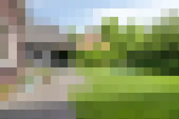 Averbodelaan 37 Hooge Mierde thumbnail 49