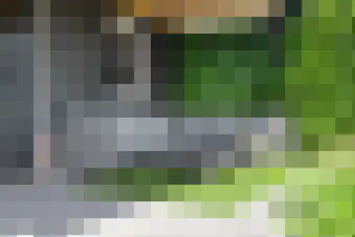 Averbodelaan 37 Hooge Mierde thumbnail 52