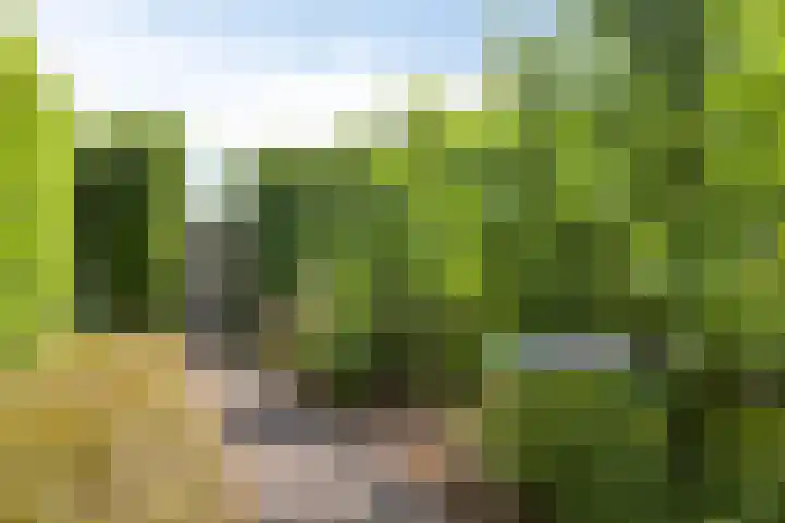 Averbodelaan 37 Hooge Mierde thumbnail 55