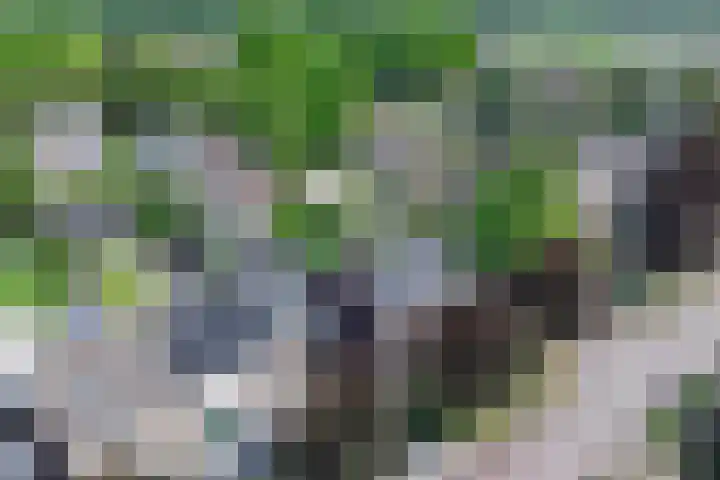 Averbodelaan 37 Hooge Mierde thumbnail 62