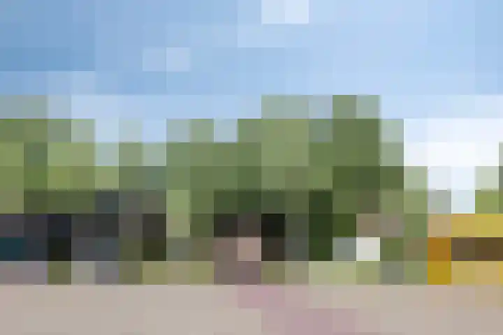 Averbodelaan 37 Hooge Mierde thumbnail 67