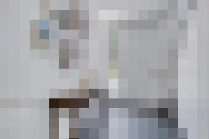 Averbodelaan 37 Hooge Mierde thumbnail 7