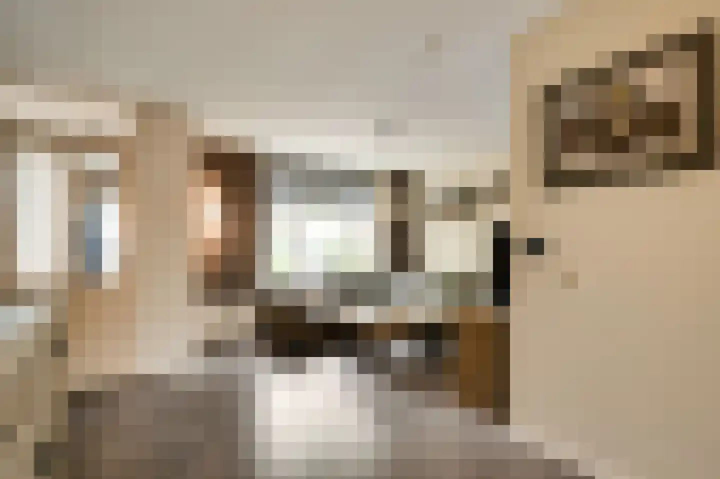 Averbodeplein 18 Horst thumbnail 13