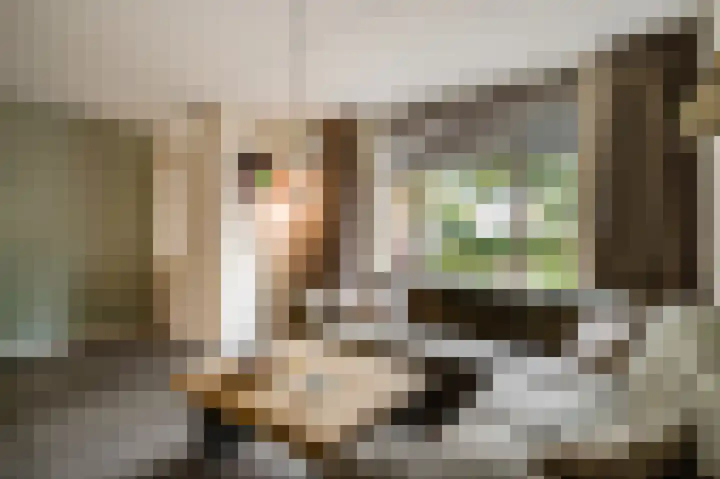 Averbodeplein 18 Horst thumbnail 16